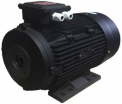  5,5   H112 HP 7.5 4P MA AC KW 5,5 4P TOR 14575 - avtohimiya96.ru - 